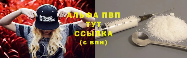 твердый Бородино