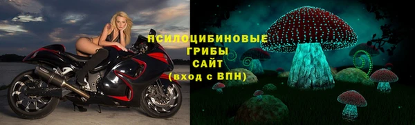 хмурый Бронницы