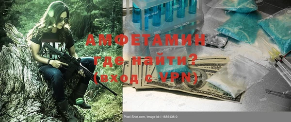 твердый Бородино