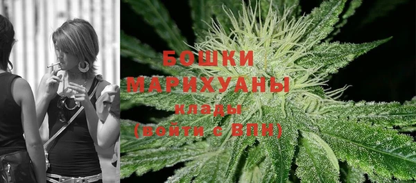твердый Бородино