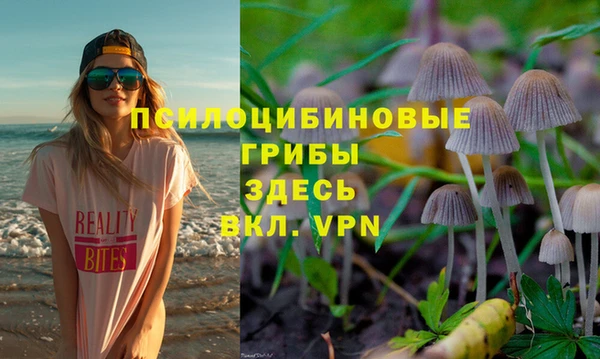 хмурый Бронницы