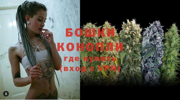 твердый Бородино