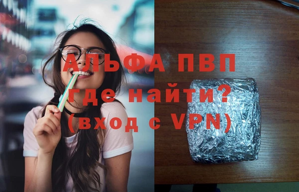 твердый Бородино