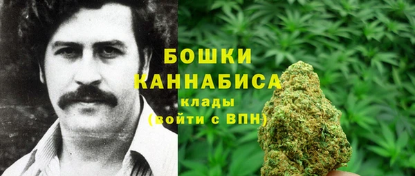 хмурый Бронницы