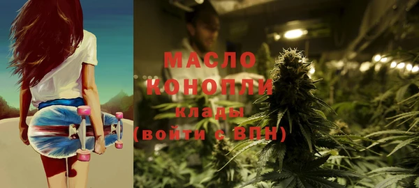 твердый Бородино
