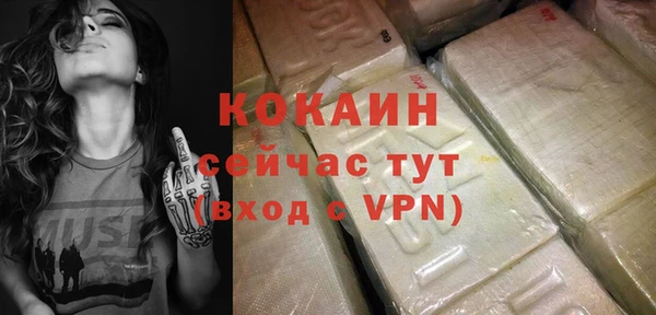 твердый Бородино
