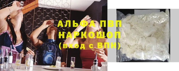 твердый Бородино